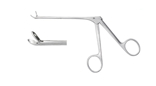 Nasal bone rongeur (right to shape mouth)
