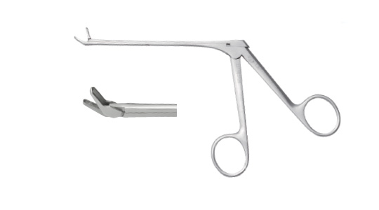 E448 nasal cutting forceps (bent 30 degrees, hollow downward punch)